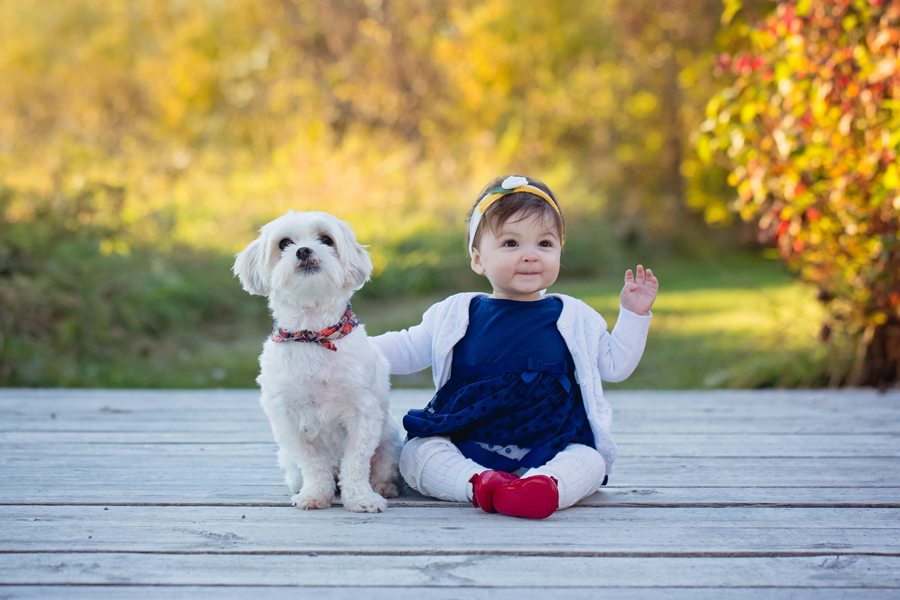 Ottawa baby photography, baby photographer Ottawa