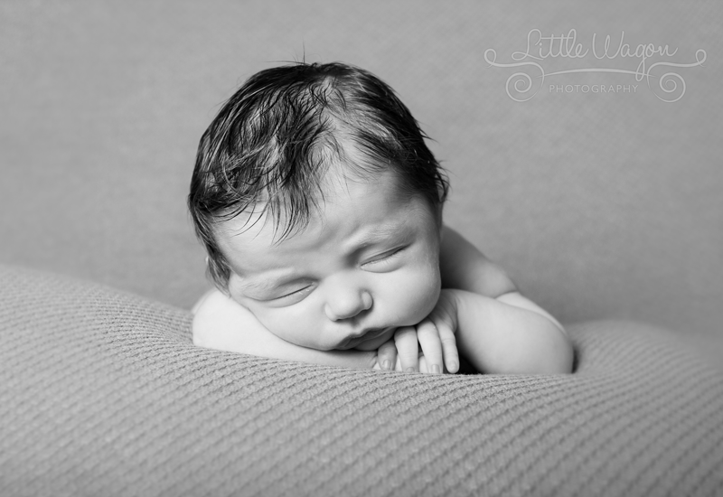 Ottawa Newborn Photography