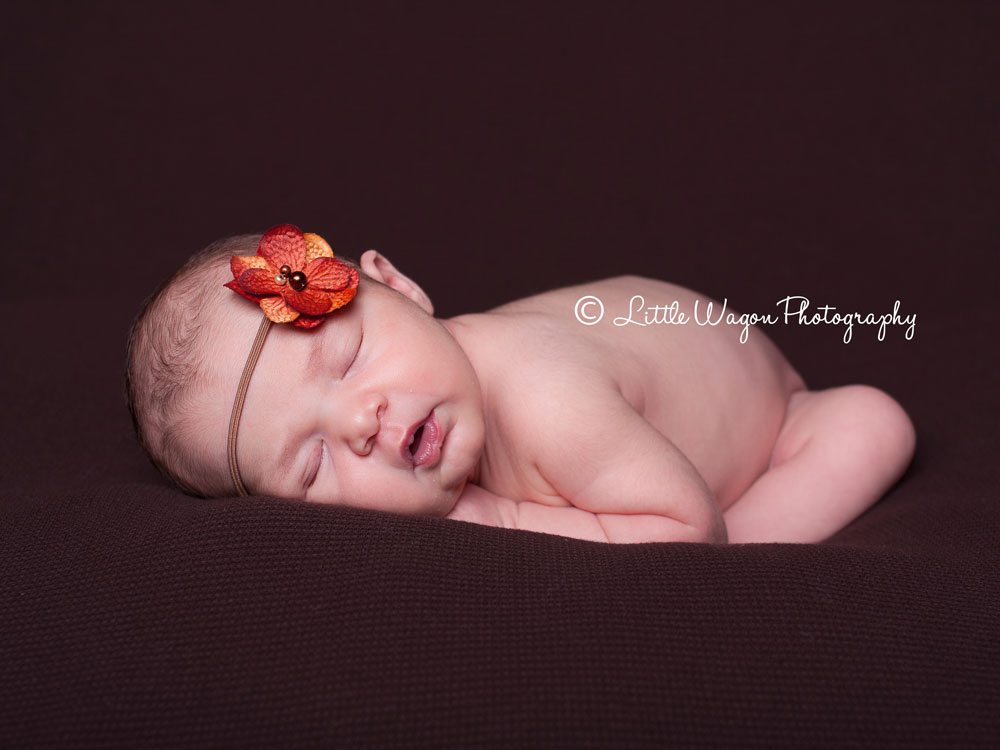 ottawa newborn photographers 