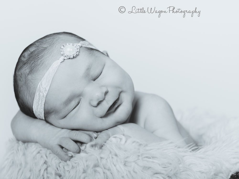 ottawa newborn photographer 