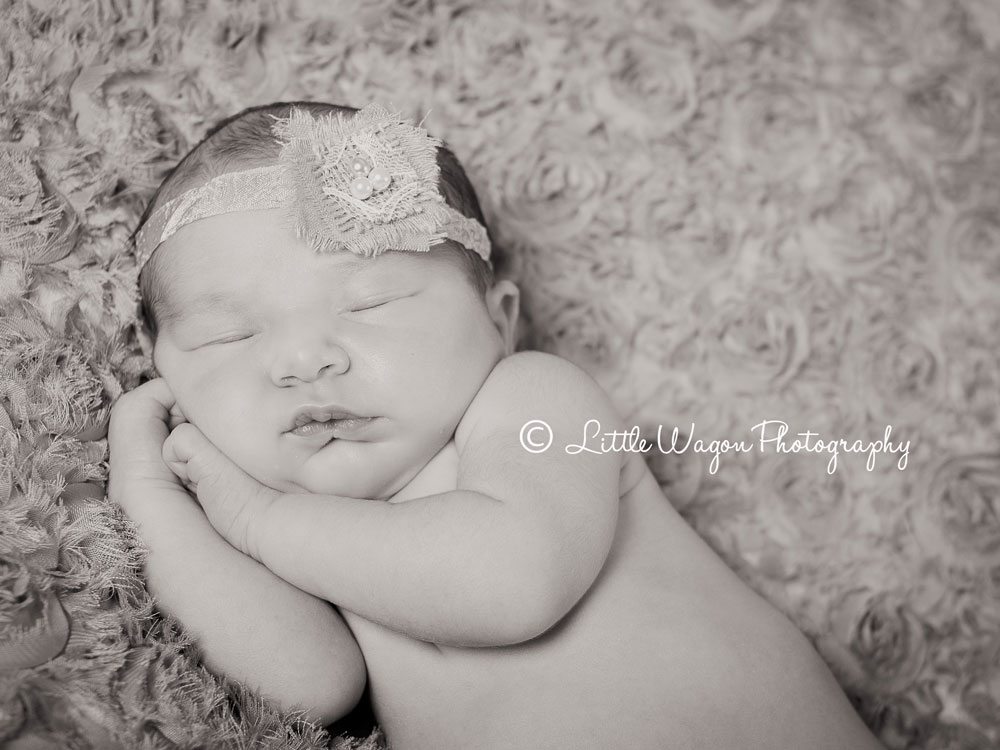 ottawa newborn photography 