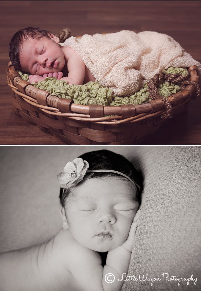 ottawa newborn photography