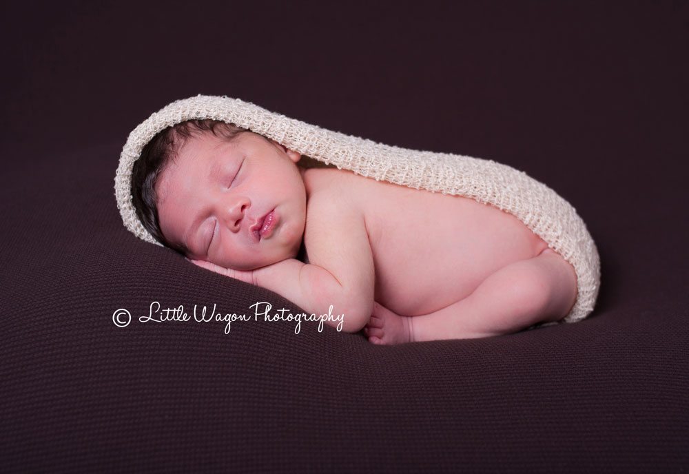 newborn photographer ottawa