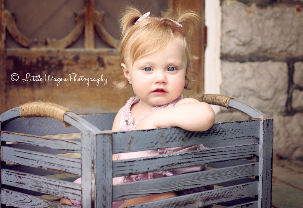 Ottawa Baby Photographer