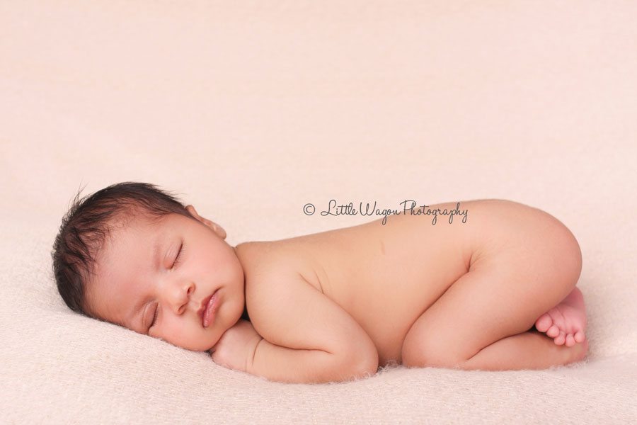 ottawa newborn photographer