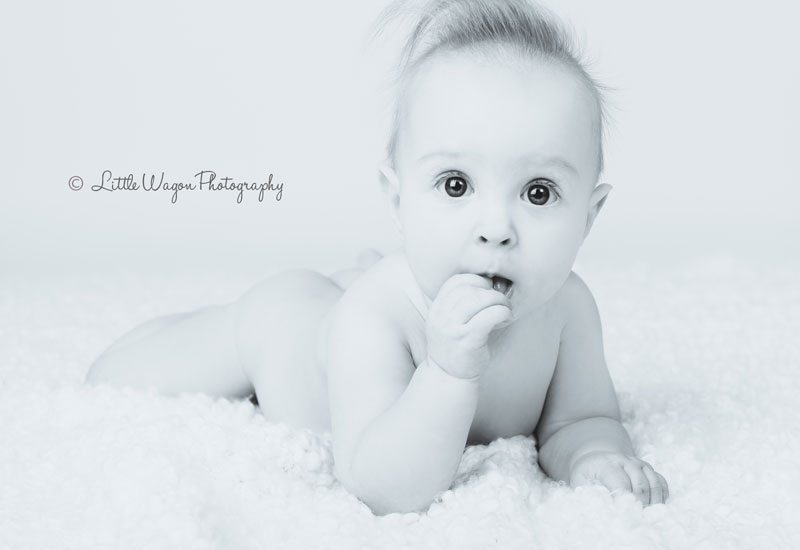 baby photographer ottawa