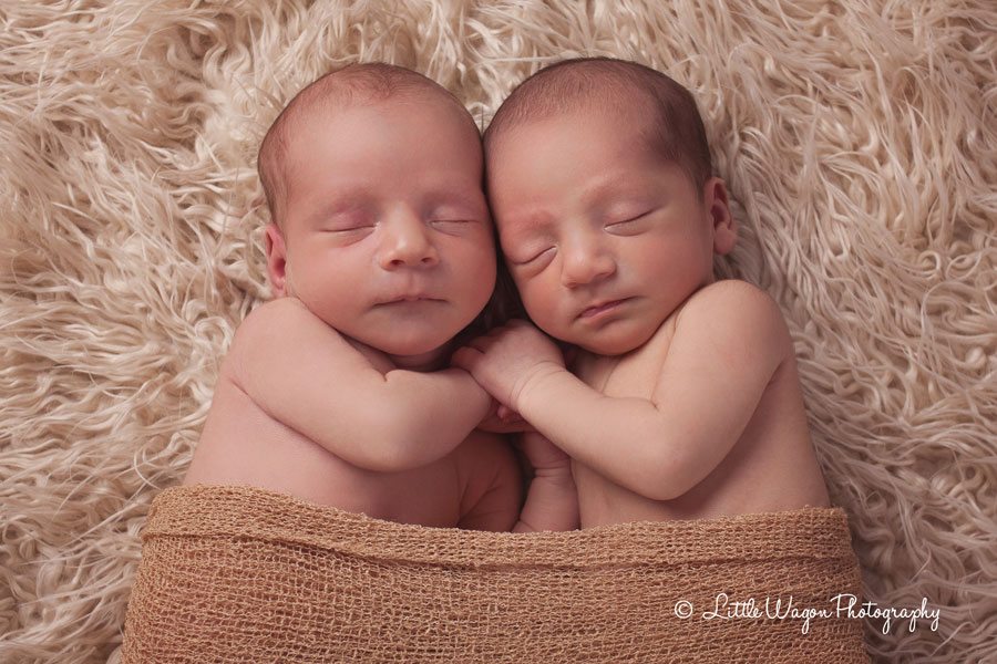 Twin Newborn Photographer Ottawa