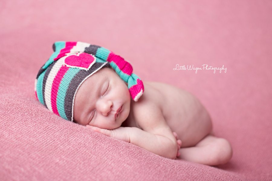 newborn photography ottawa