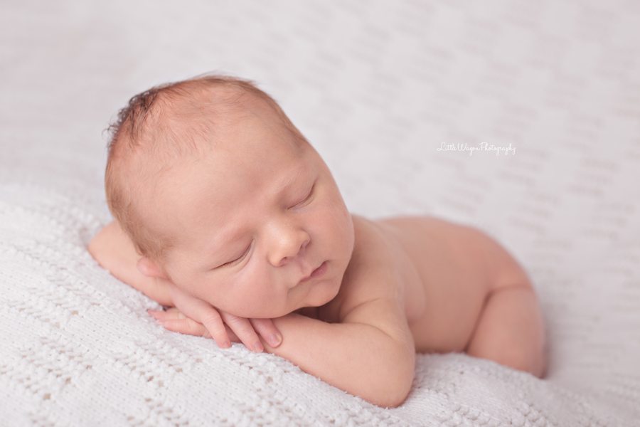 newborn photographer Ottawa