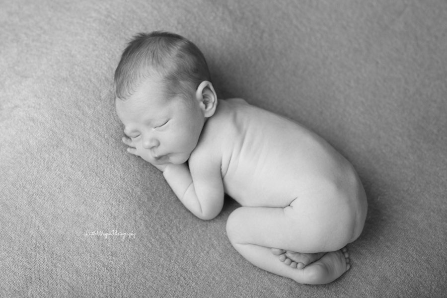 Ottawa newborn Photography
