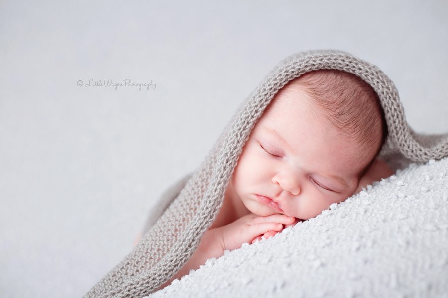 Newborn Photography Ottawa