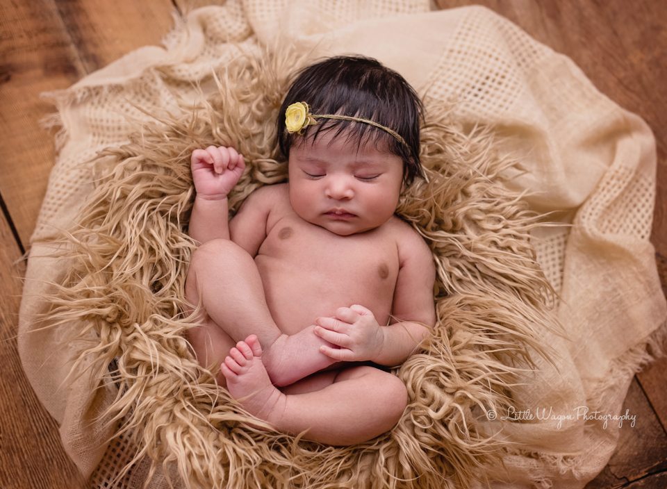 newborn photographer ottawa