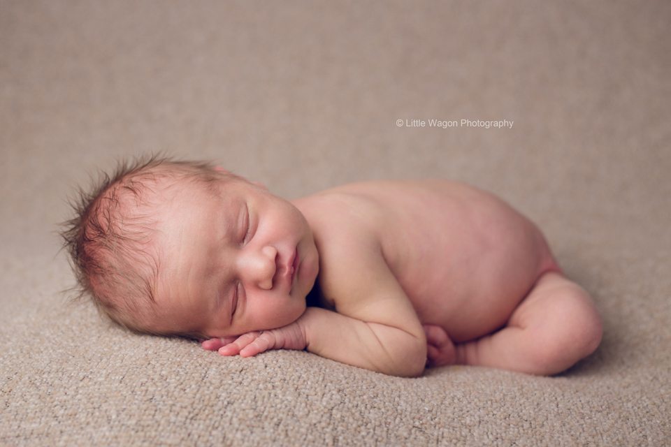 newborn photography Ottawa