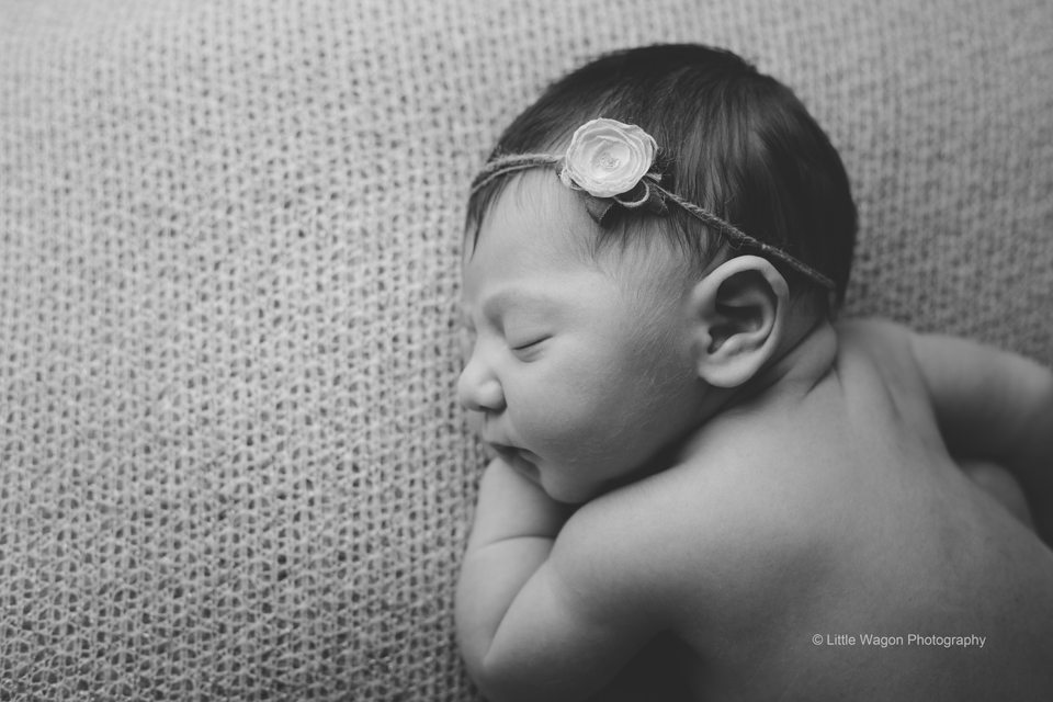 Ottawa newborn Photographer