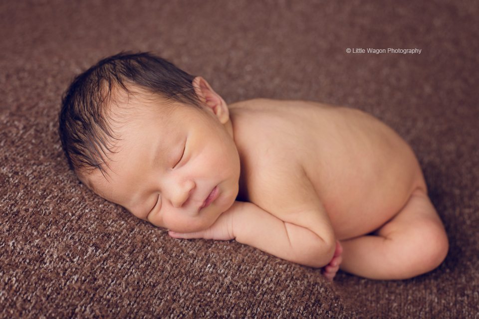 newborn photographers Ottawa