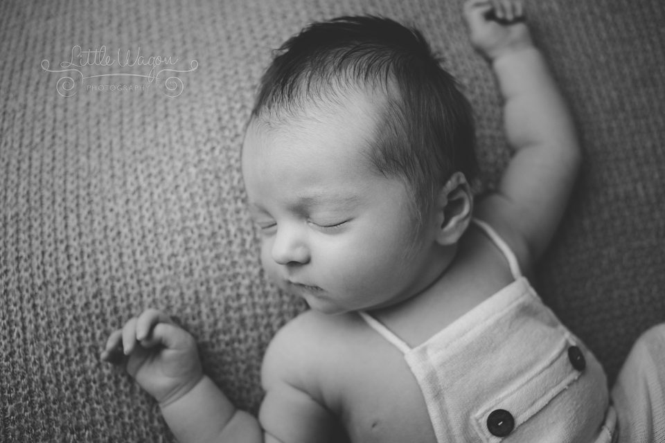 newborn photography Ottawa