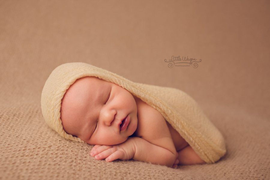 newborn photography Ottawa, Ottawa newborn photographer