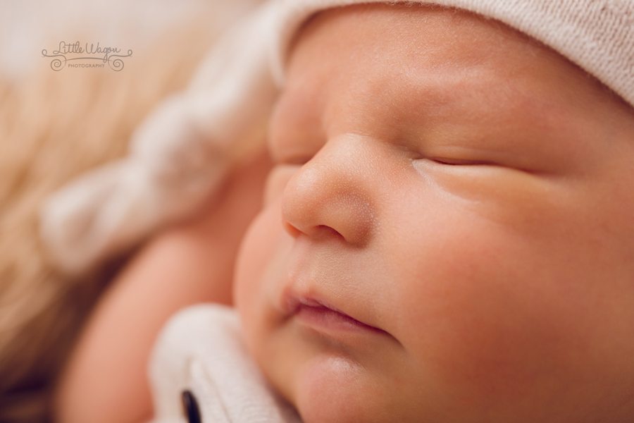 newborn photographers Ottawa, newborn photography Ottawa