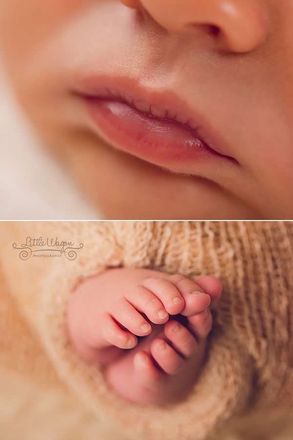 newborn photography Ottawa