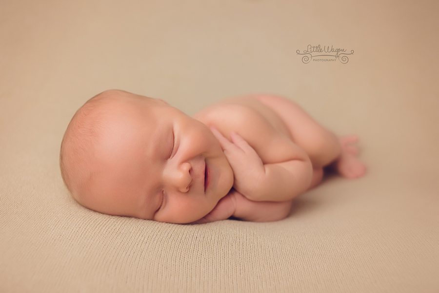 newborn photographers Ottawa