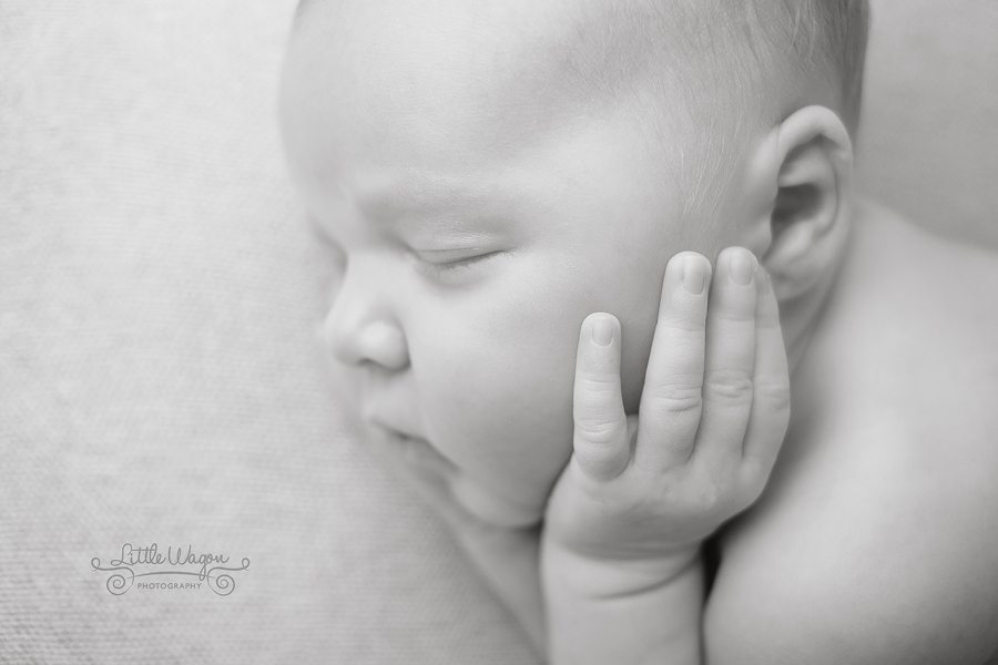 Ottawa newborn photographers