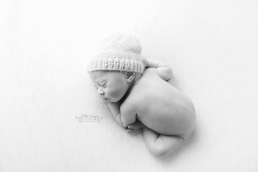 newborn photographer Ottawa