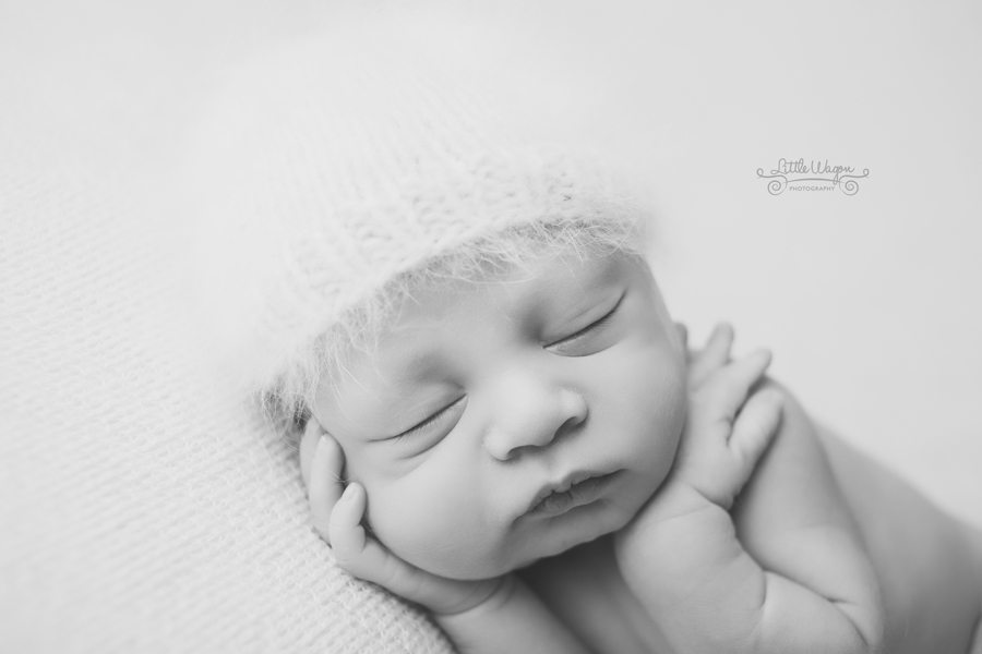 newborn photography Ottawa