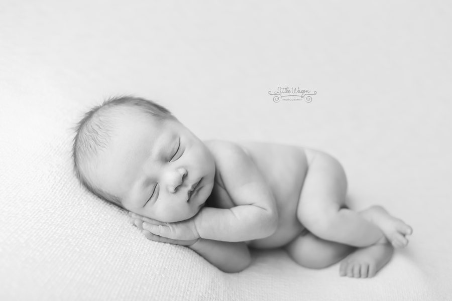 newborn photographers Ottawa