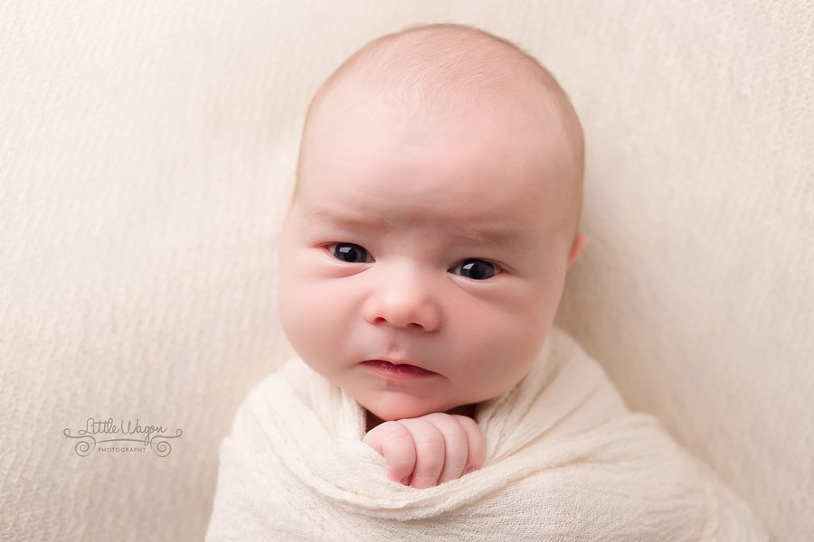 Ottawa newborn photographer