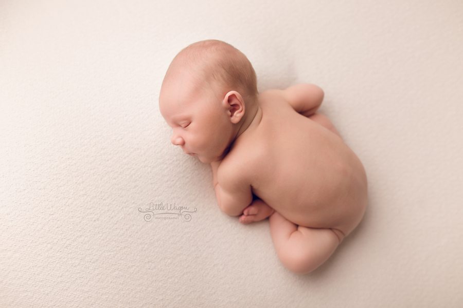 best Ottawa newborn photographer