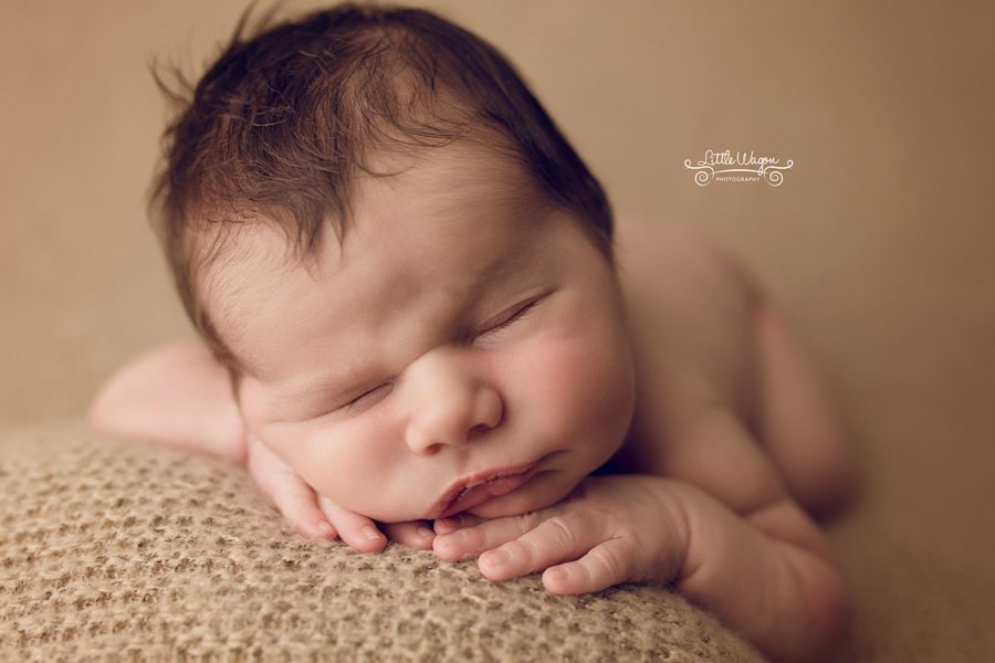 newborn photography ottawa, Ottawa's best newborn photographers