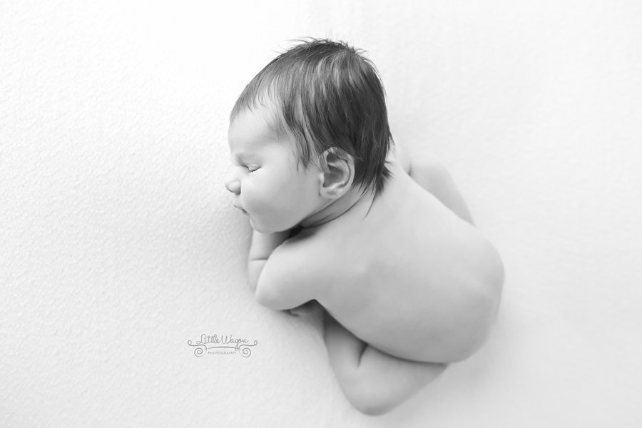 Ottawa newborn photographer, Ottawa newborn photography
