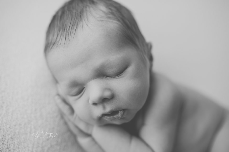 Ottawa newborn photographers