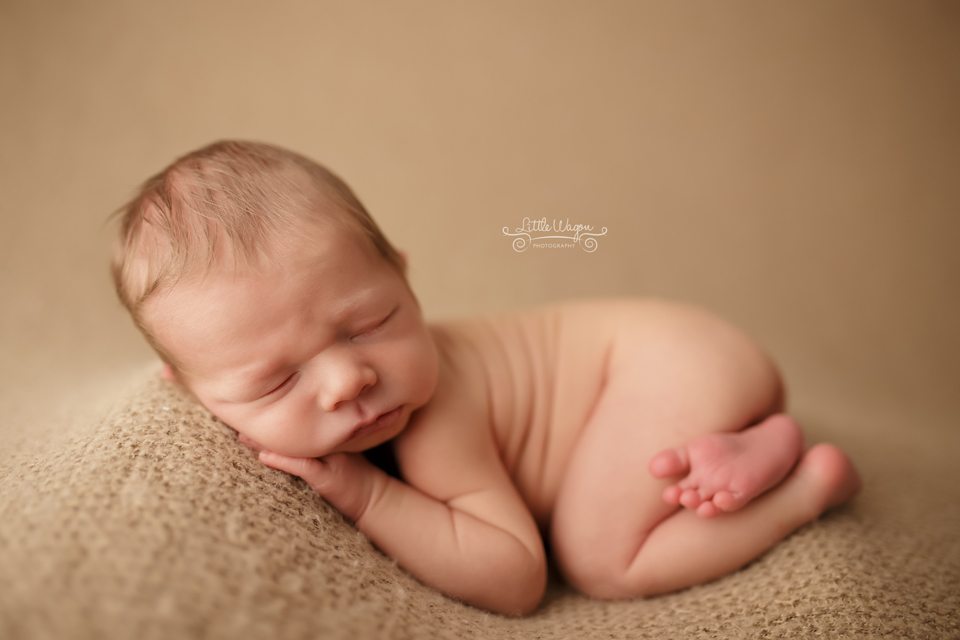 Ottawa newborn photography