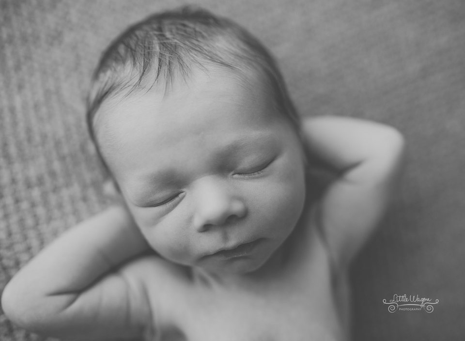 newborn photography Ottawa