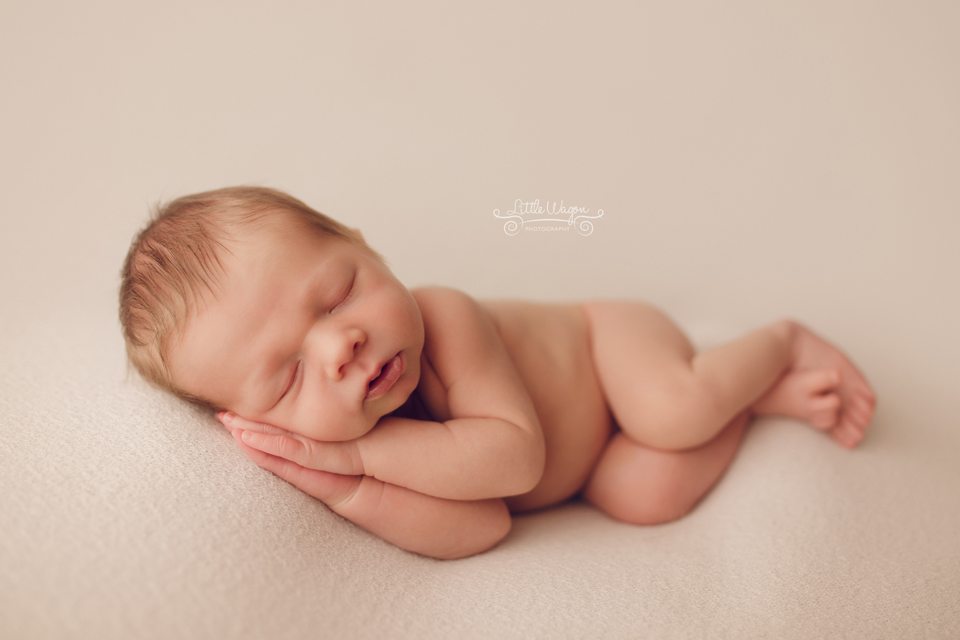 Ottawa newborn photography