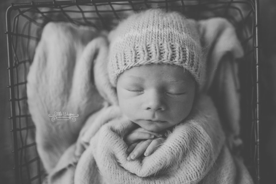 newborn photography Ottawa