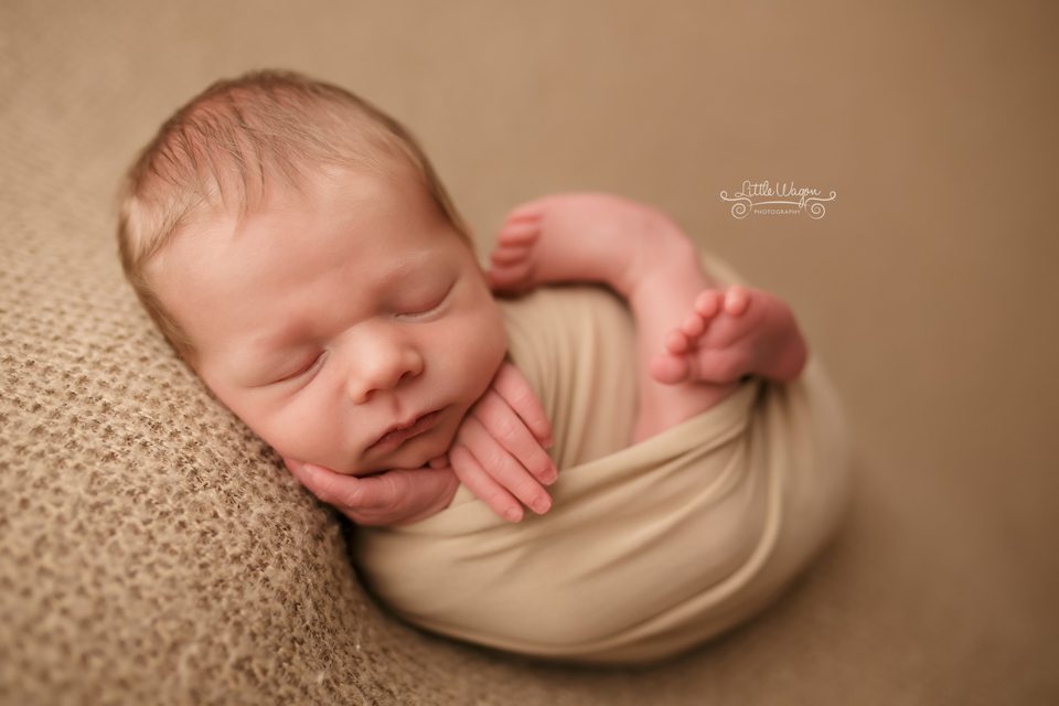 newborn photographers Ottawa