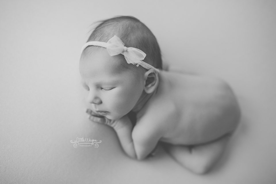 newborn photographer Ottawa, Ottawa newborn photography