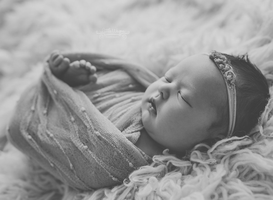 newborn photography Ottawa, baby photographers, Little Wagon Photography