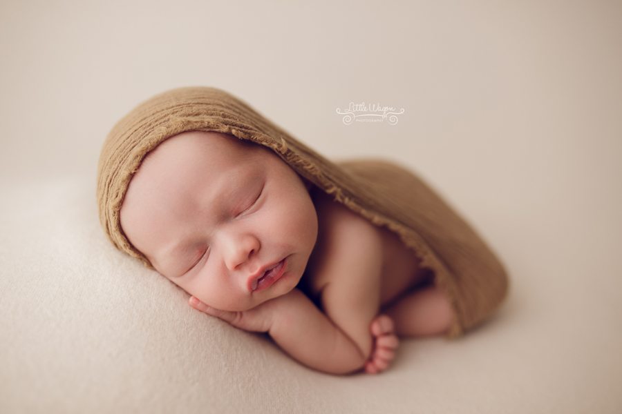 newborn photography, newborn photographer ottawa