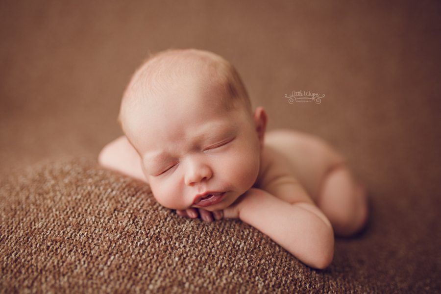 newborn photography ottawa, newborn photographers
