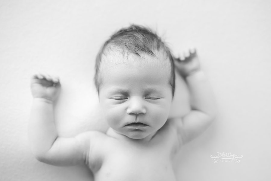 Ottawa newborn photography, Ottawa newborn photographer, newborn photography