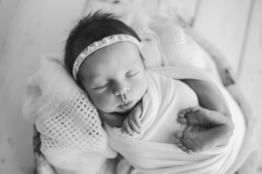 Ottawa newborn photography, newborn photographer