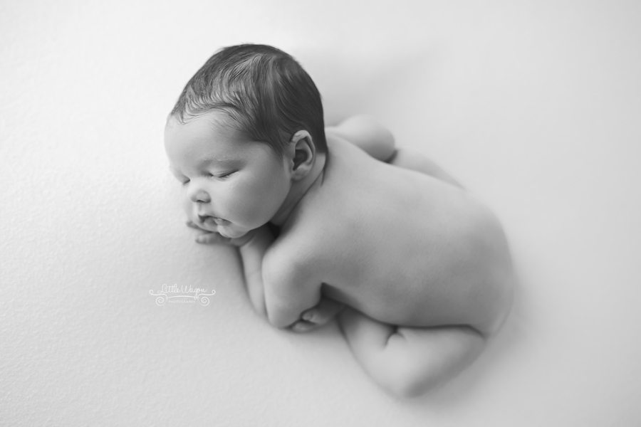 newborn photographer, newborn photography Ottawa, best newborn photographer Ottawa
