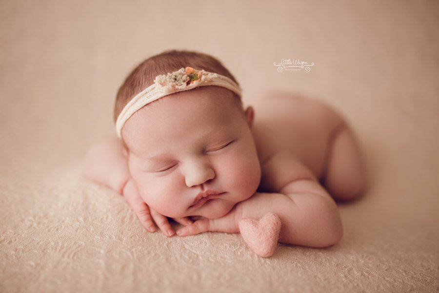 newborn photographer, Ottawa newborn photography