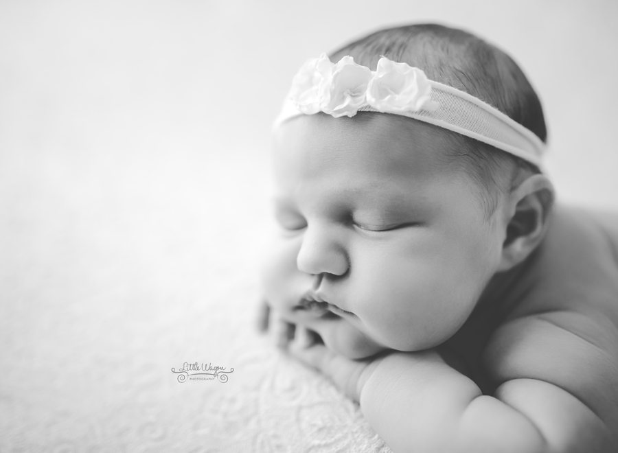 Ottawa newborn photographer, newborn photography