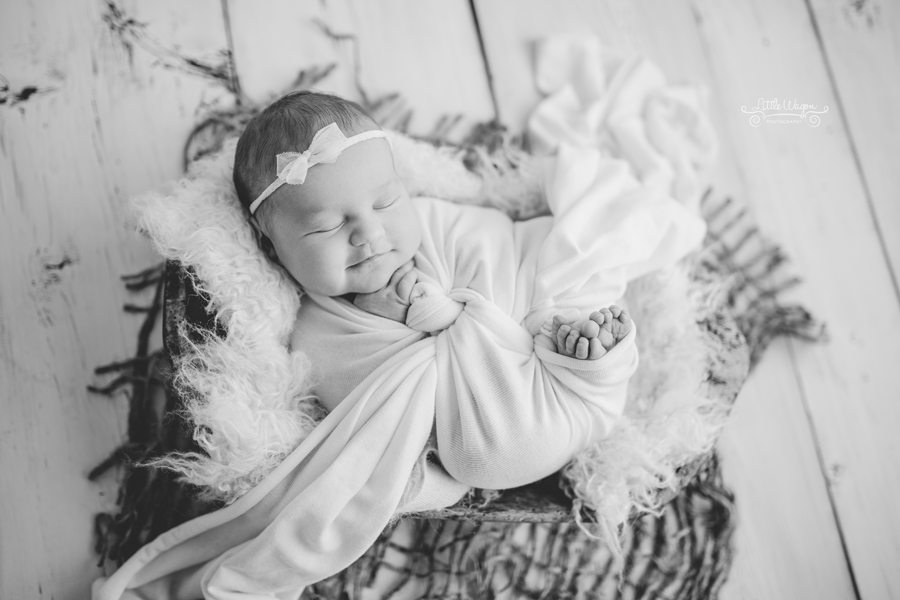 Ottawa newborn photographers, newborn photography Ottawa