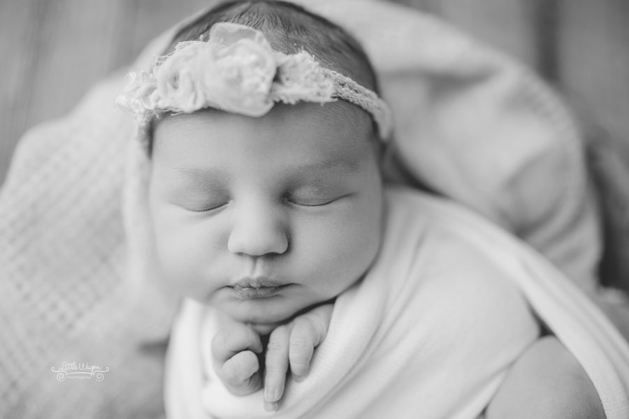 newborn photographers, Ottawa's best newborn photographer