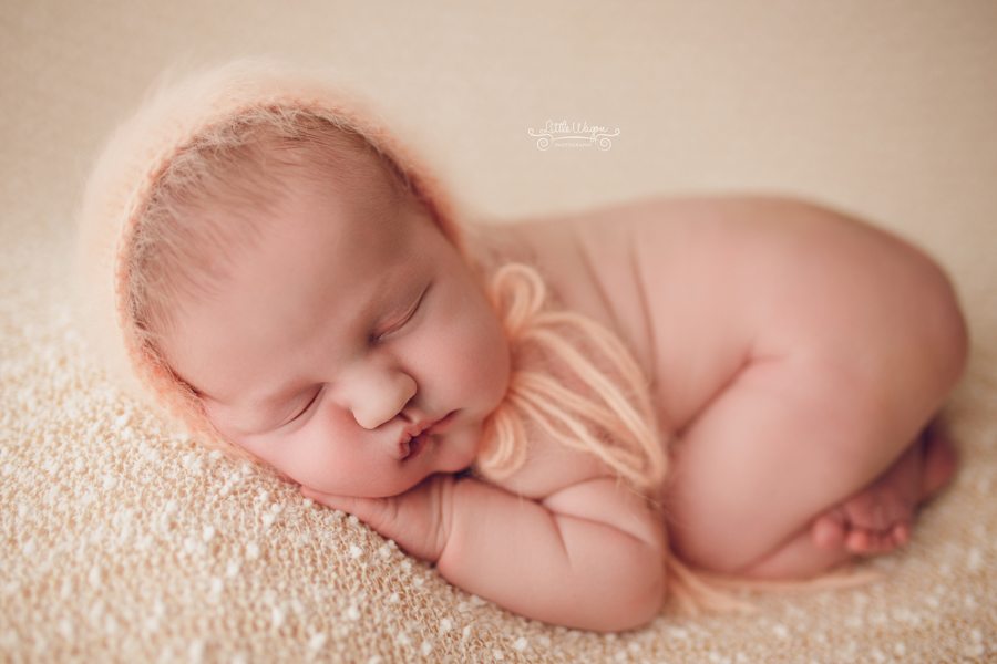 newborn photographers Ottawa, Ottawa newborn photography